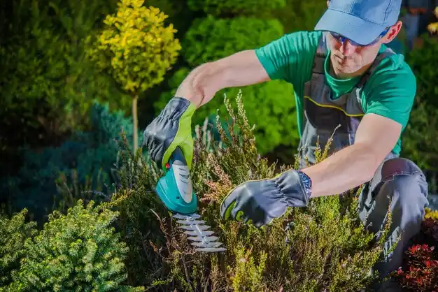 landscaping services Clarksville